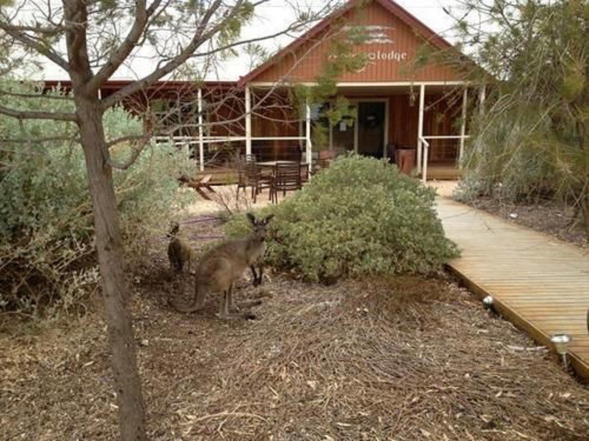 Mungo Lodge Exterior foto
